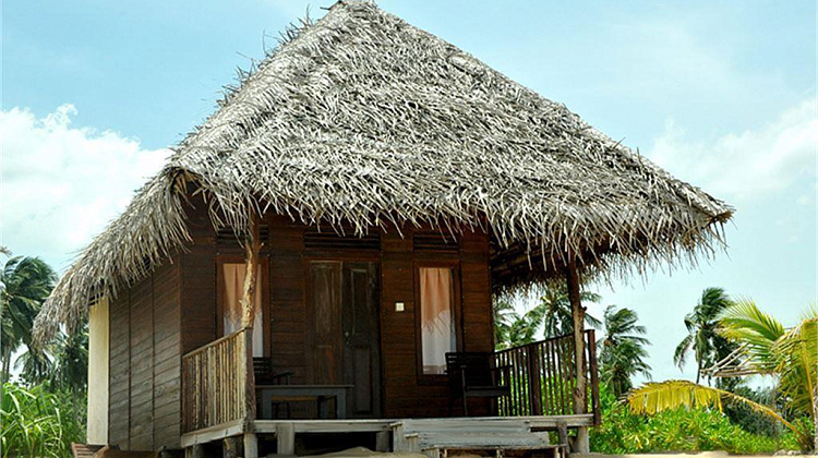 Картинка - 4