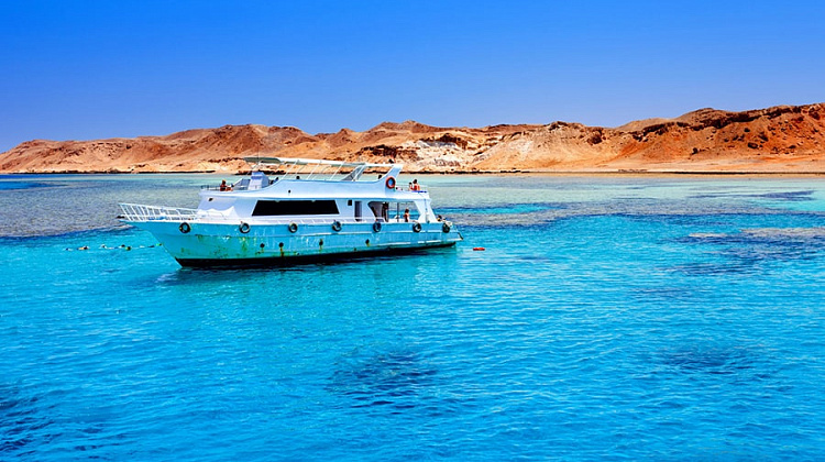 Картинка - 1