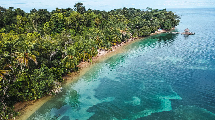 Картинка - 2