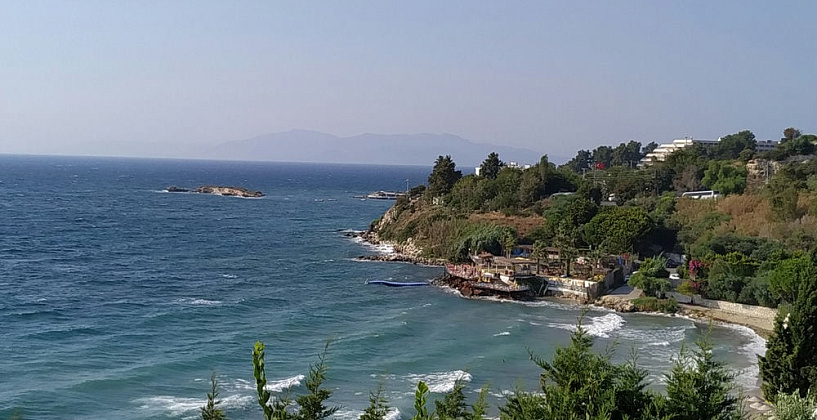 Картинка - 1