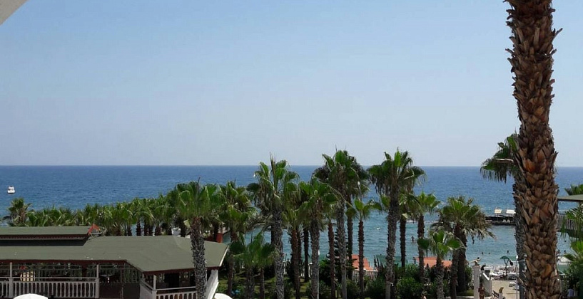 Картинка - 1