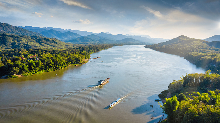 Картинка - 1