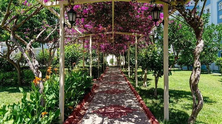 Картинка - 8