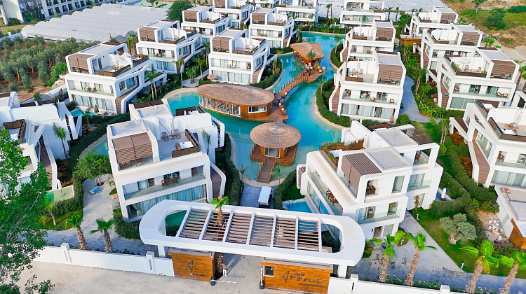 Картинка - 1