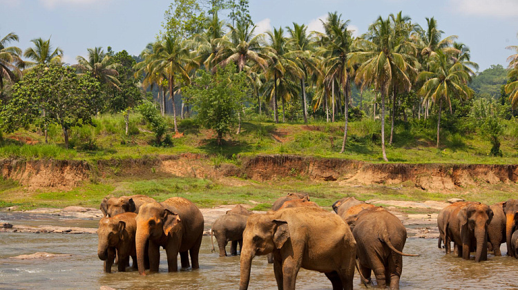 Картинка - 1