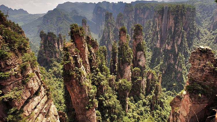 Картинка - 1