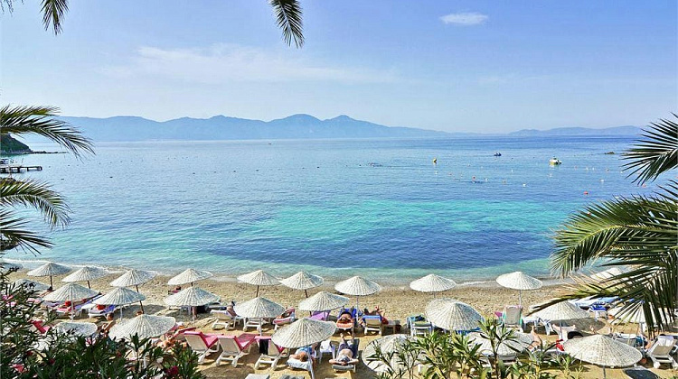 Картинка - 1