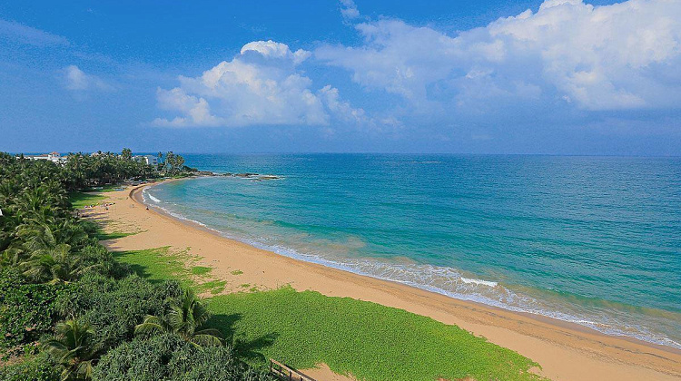 Картинка - 4