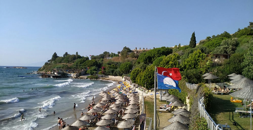 Картинка - 3