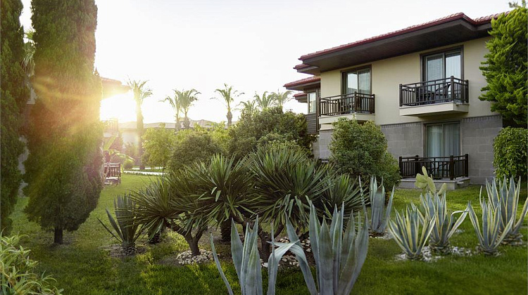 Картинка - 3