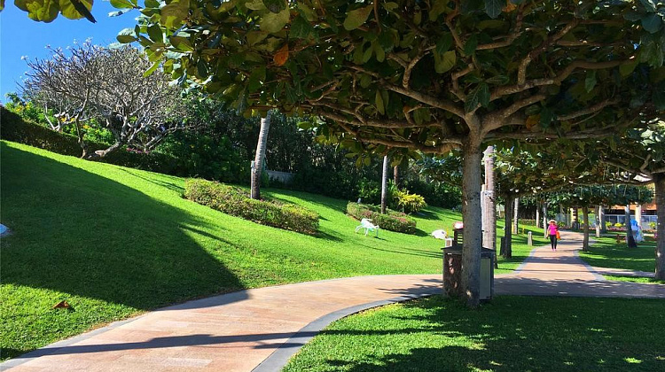 Картинка - 4