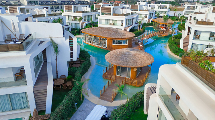 Картинка - 6