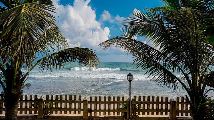 Картинка - 1