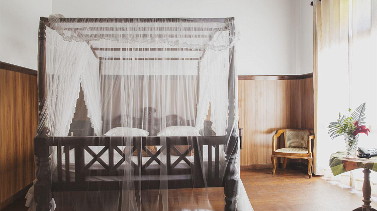 Картинка - 5