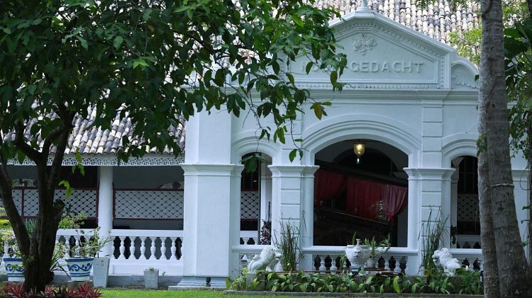 Картинка - 1